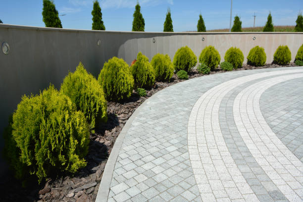 Best Decorative Driveway Pavers  in Buckley, WA