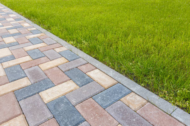 Best Driveway Paving Near Me  in Buckley, WA